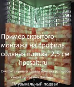 Соляная плитка  20*10*1,9см шлифованная из Гималайской соли не торцованная 